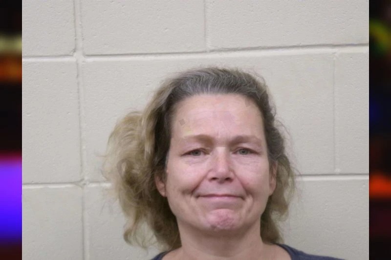 Billie Davis Mugshots