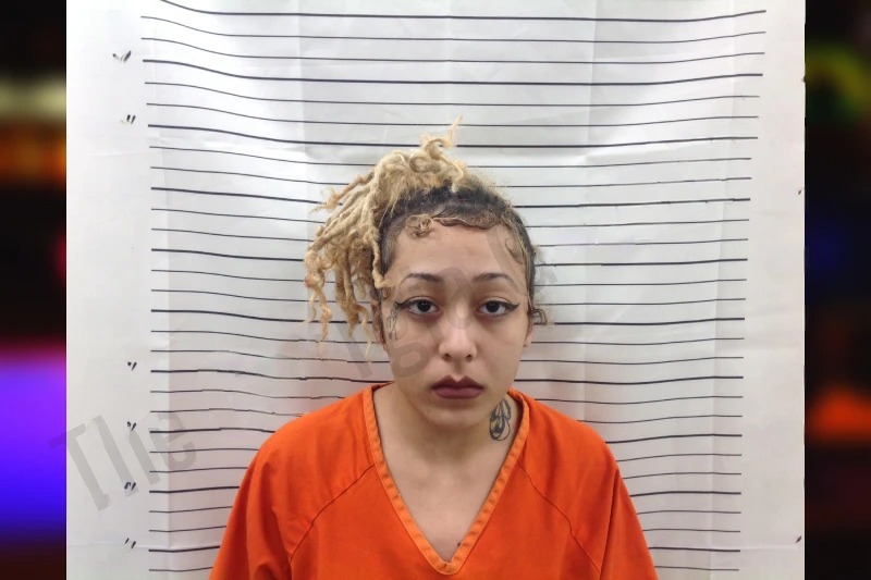 Blakely Richards Mugshots