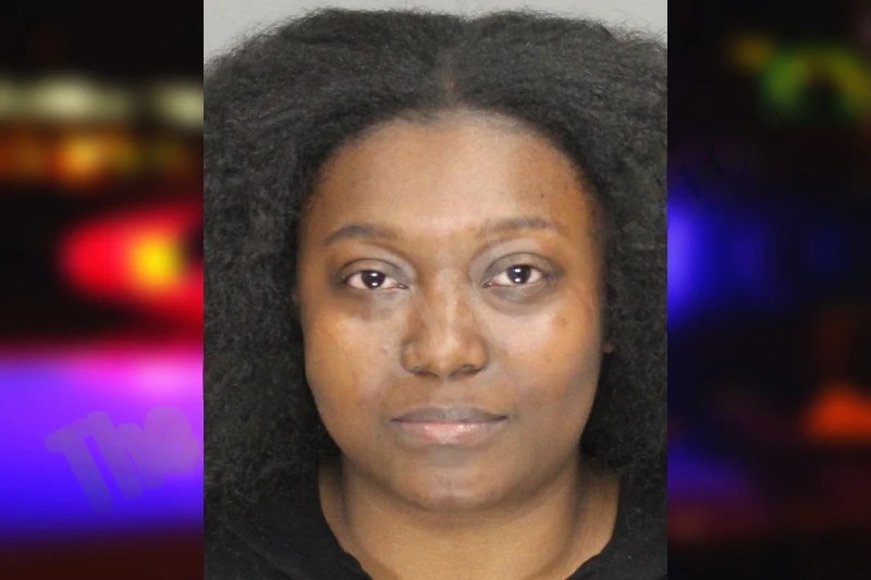 Bobbie Davis mugshot – Cobb County , Georgia Bobbie Davis mugshot