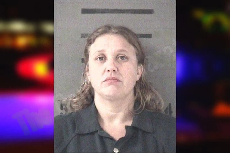 Bonita Snapp mugshot – Dougherty County , Georgia Bonita Snapp mugshot