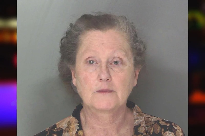 Bonnie Porter Mugshots