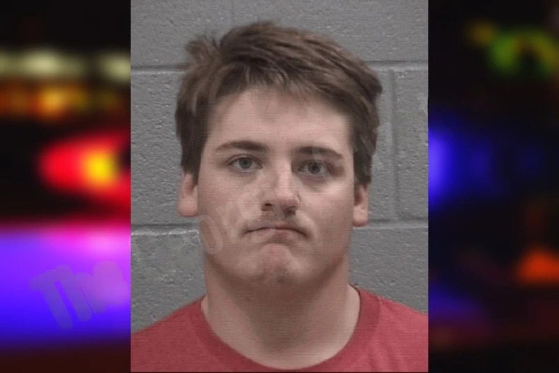 Braelyn Stephens mugshot