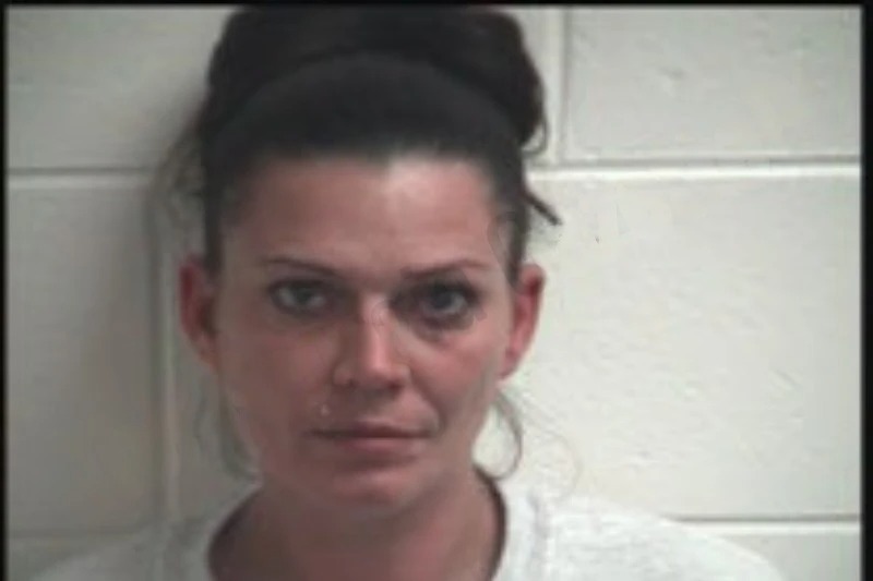 Brandi Brady mugshot – Henry County , Georgia Brandi Brady mugshot