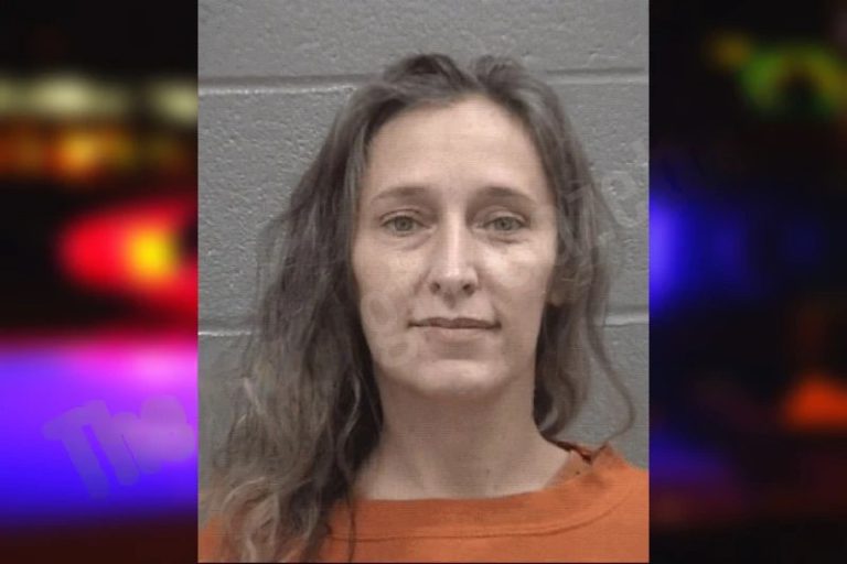 Brandi Field mugshot – Columbia County , Georgia Brandi Field