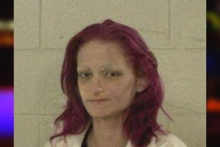 Brandi Williams mugshot – Liberty County , Georgia Brandi Williams