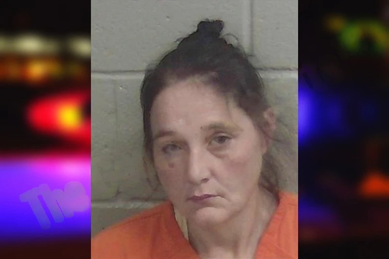 Brandi Young mugshot – Wayne County , Georgia Brandi Young mugshot