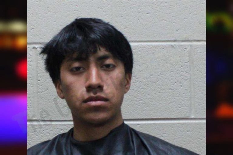 Brandon Marin Chiche mugshot – Haralson County , Georgia Brandon Marin Chiche