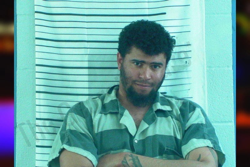 Brandon Simmons Mugshots