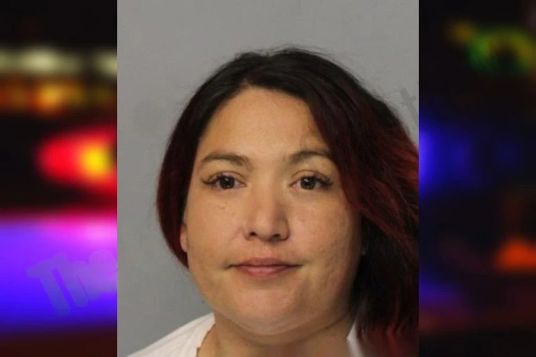 Brandy Calvet mugshot – Hall County , Georgia Brandy Calvet