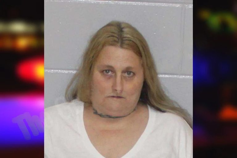 Brandy Whitlow mugshot – Morgan County , Georgia Brandy Whitlow