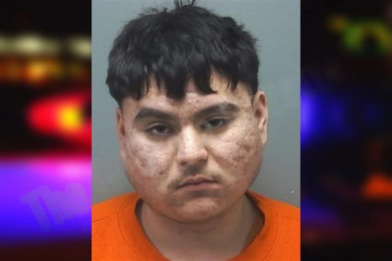 Brayan Alfaro mugshot – Cherokee County , Georgia Brayan Alfaro