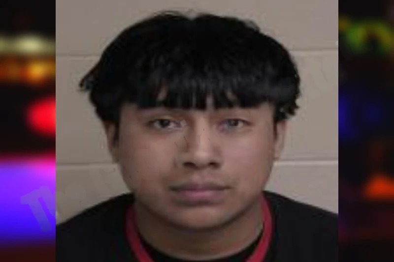 Brayson Gregorio mugshot – Walker County , Georgia Brayson Gregorio mugshot