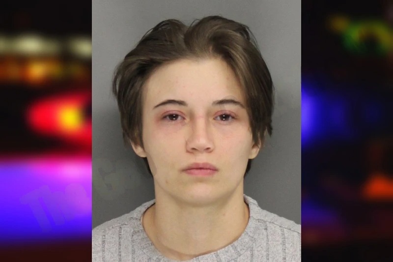 Breanna Noetling mugshot