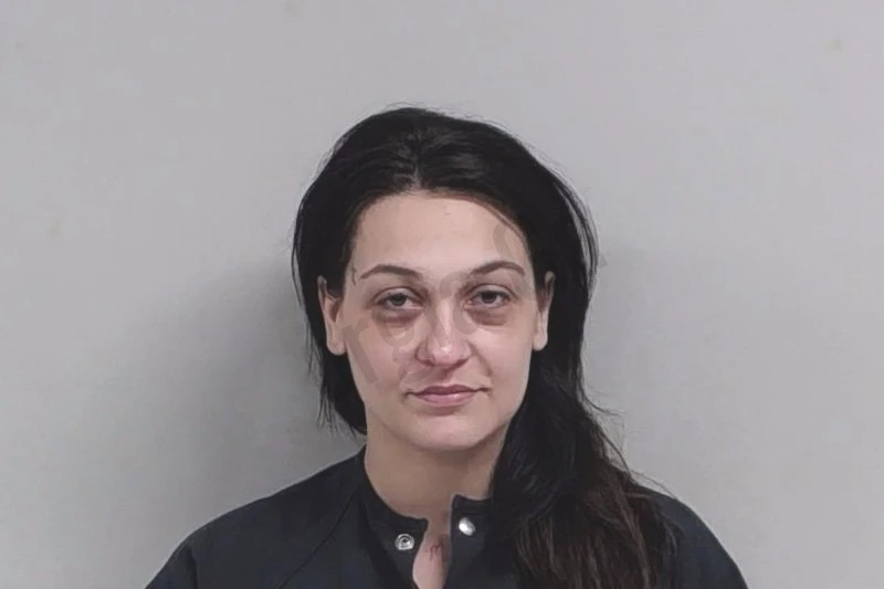 Bree Williams Mugshots