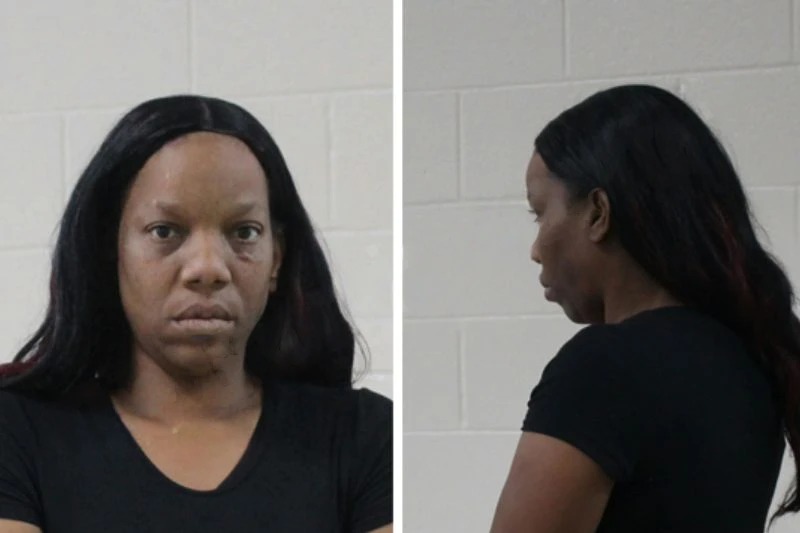 Brenda Butler Mugshots