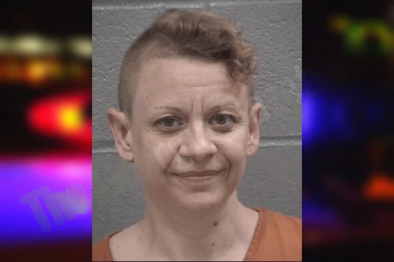 Brenda Christensen mugshot – Columbia County , Georgia Brenda Christensen mugshot