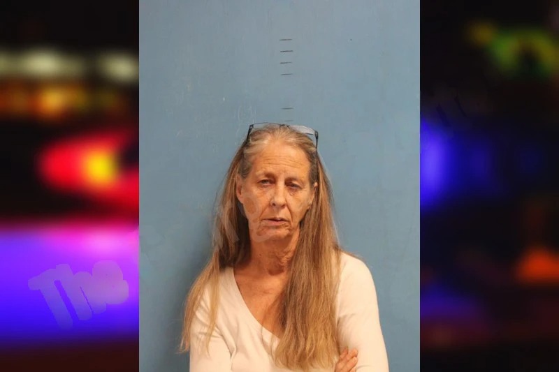 Brenda Fitzgerald Mugshots