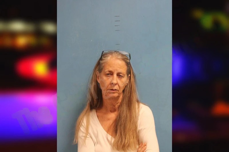 Brenda Fitzgerald Mugshots