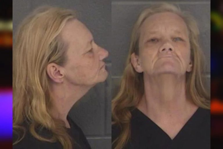 Brenda Lancaster mugshot – Barrow County , Georgia Brenda Lancaster