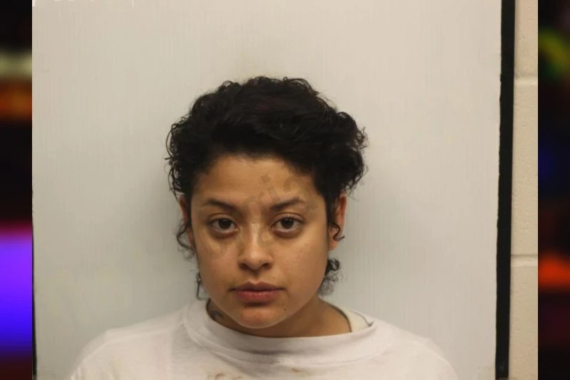 Brenda Leyva Guerrero Mugshots