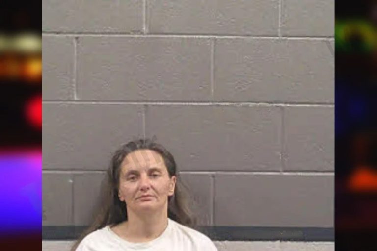 Brenda Mitchell mugshot – Banks County , Georgia Brenda Mitchell