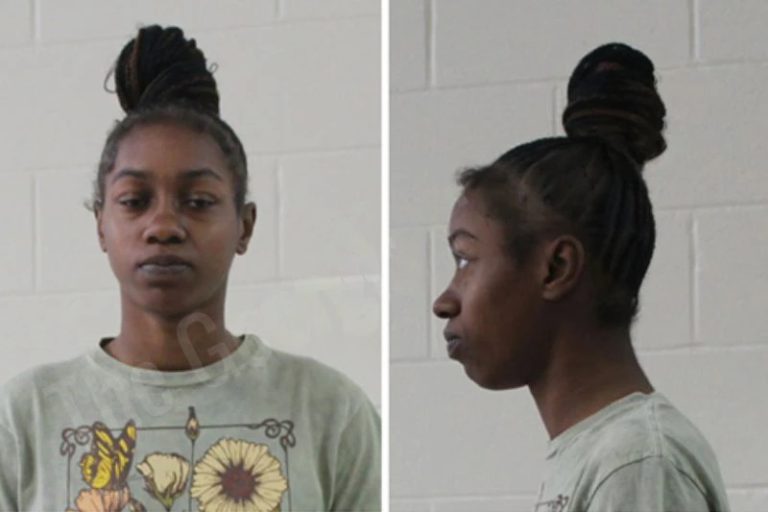 Breona Brown mugshot – Houston County , Georgia Breona Brown