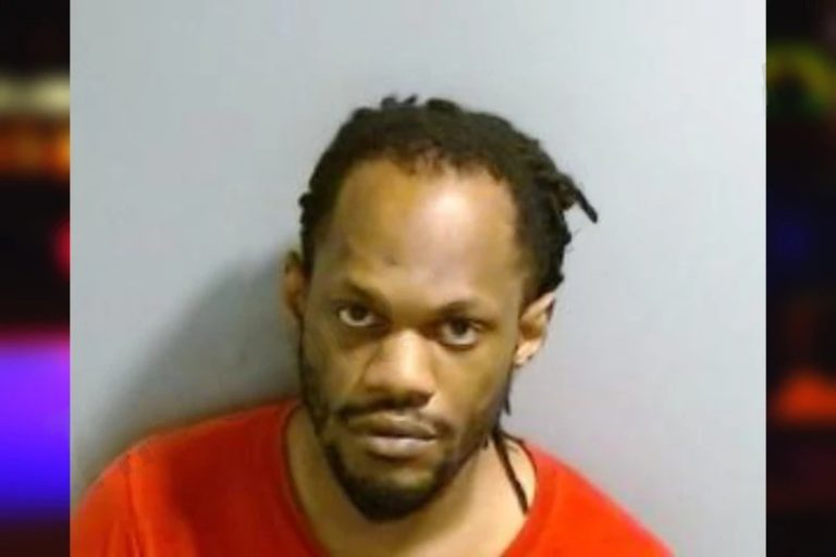 Brian Wilson mugshot – Fulton County , Georgia Brian Wilson