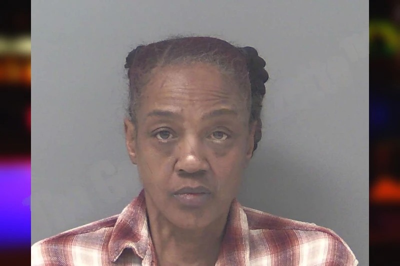 Briana Patterson Mugshots