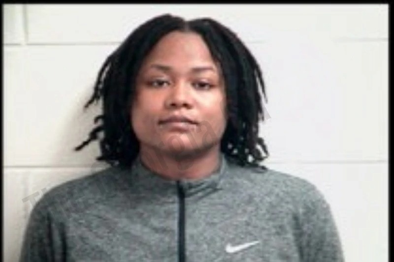 Briana Ritchie Mugshots