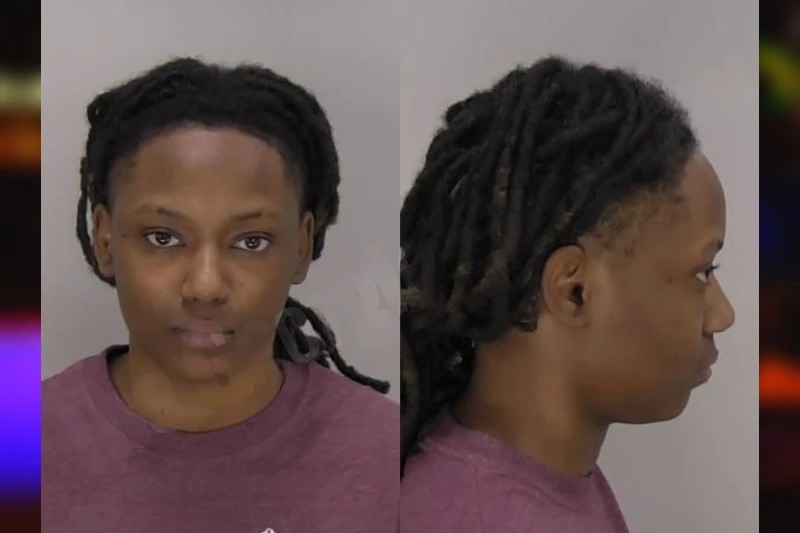 Briana Robinson Mugshots