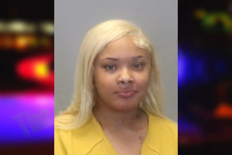 Briana Sampson mugshot