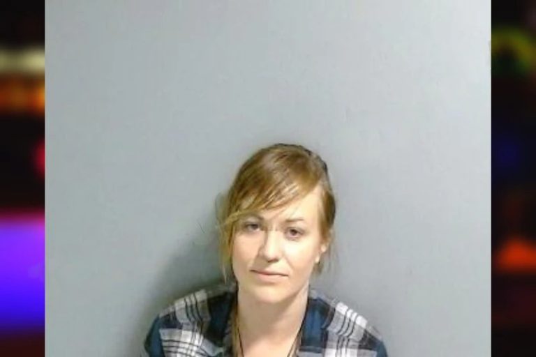 Brianna Conlon mugshot – Fulton County , Georgia Brianna Conlon