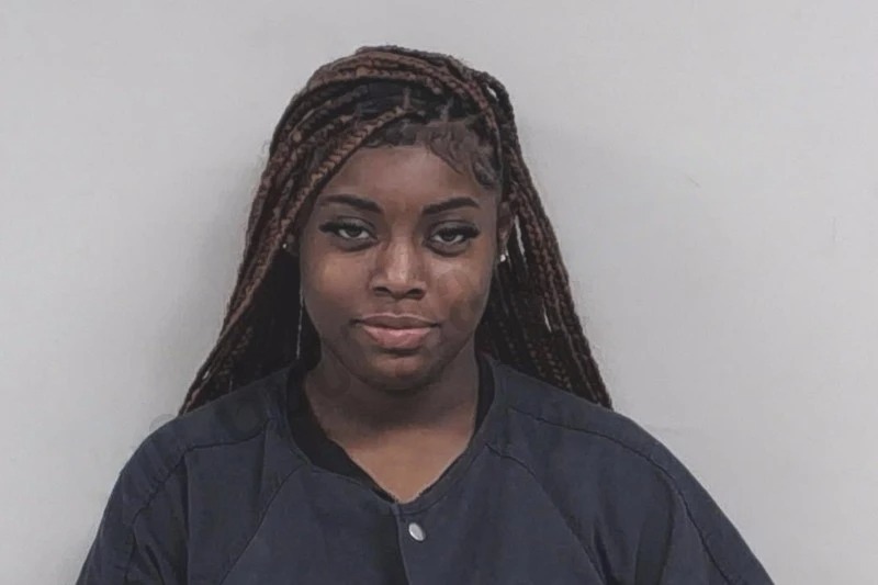 Brianna Mitchell Mugshots