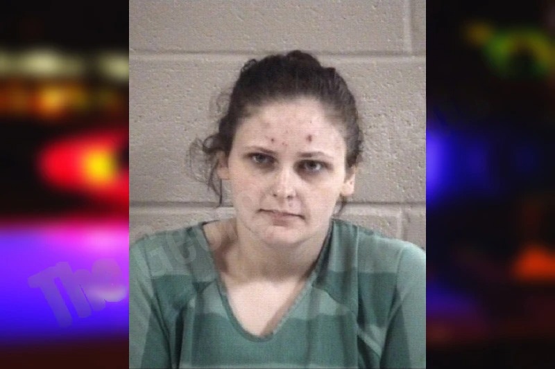 Brianna Plott mugshot – Whitfield County , Georgia Brianna Plott mugshot