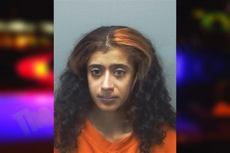 Brianna Ruiz Mugshots