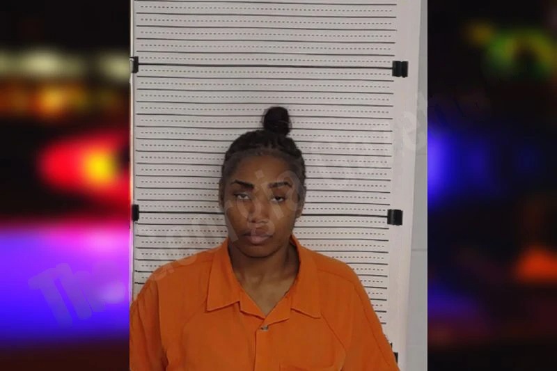 Brianna Turner Mugshots