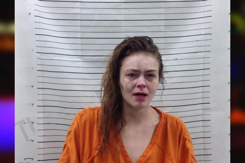 Bridgette Edwards mugshot – Pickens County , Georgia Bridgette Edwards mugshot