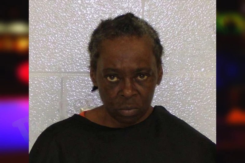 Bridgette Sinkfield Mugshots