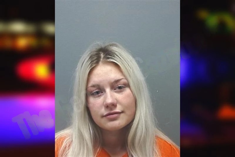 Briley Pence mugshot – Cherokee County , Georgia Briley Pence mugshot