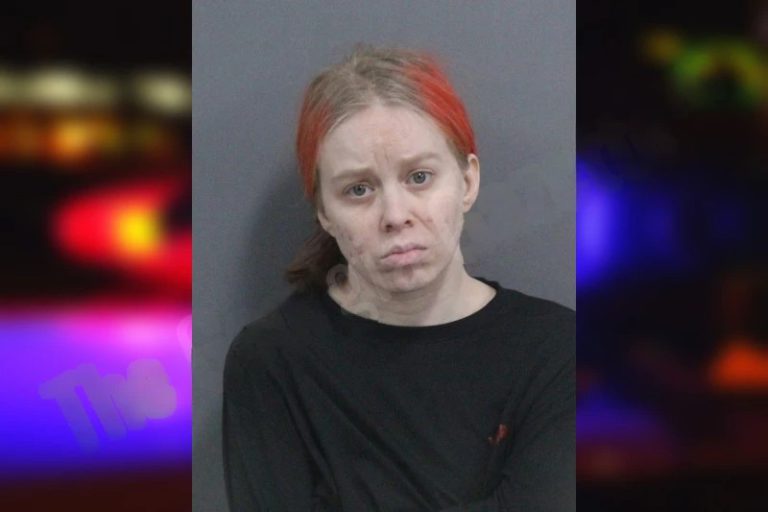 Britney Elston mugshot – Catoosa County , Georgia Britney Elston