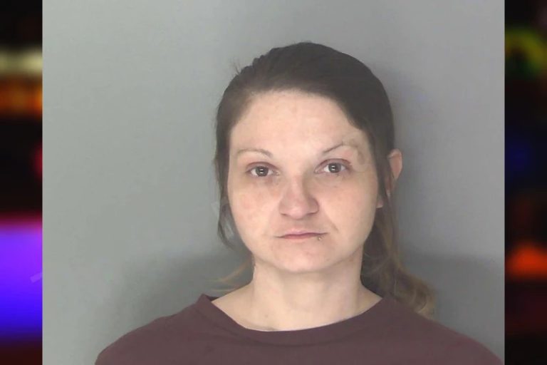 Brittany Bannister mugshot – Douglas County , Georgia Brittany Bannister
