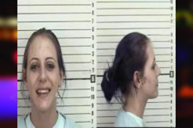 Brittany Beavers mugshot – Camden County , Georgia Brittany Beavers