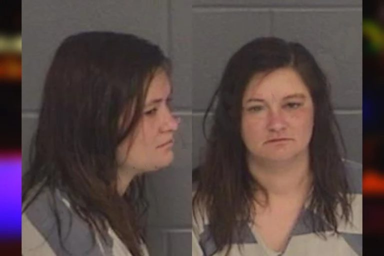 Brittany Dennis mugshot – Barrow County , Georgia Brittany Dennis