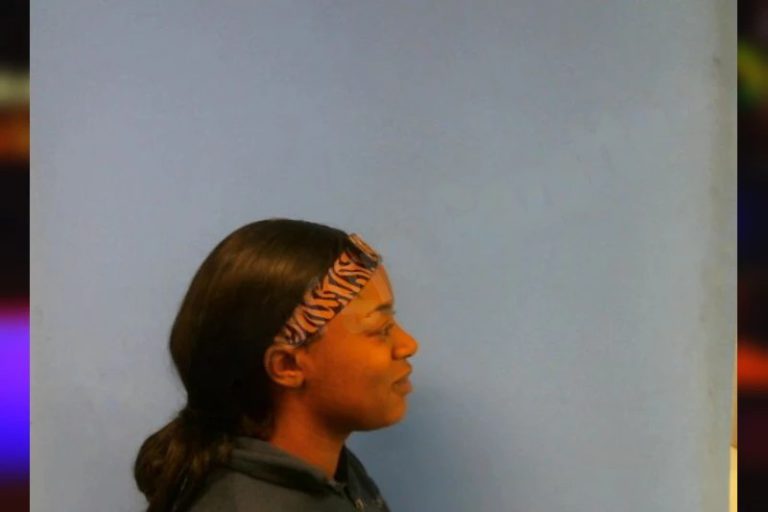 Brittany Fanning mugshot – Troup County , Georgia Brittany Fanning