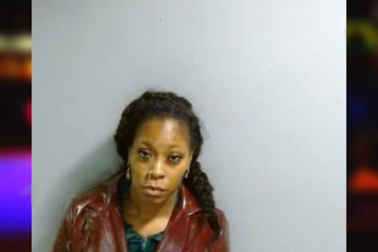 Brittany Gaston mugshot – Fulton County , Georgia Brittany Gaston