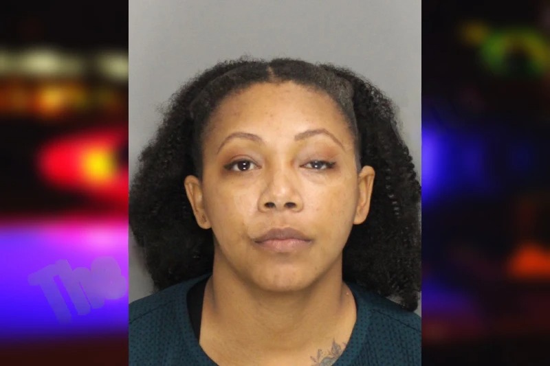 Brittany Hodge Mugshots