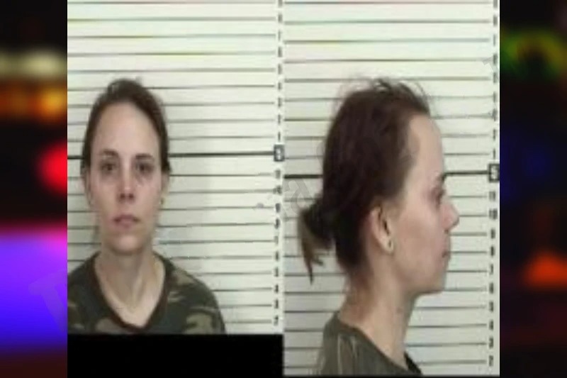 Brittany Hughes Mugshots