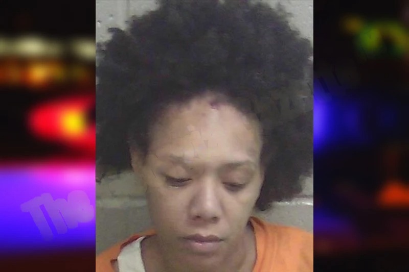 Brittany Jackson mugshot – Wayne County , Georgia Brittany Jackson mugshot