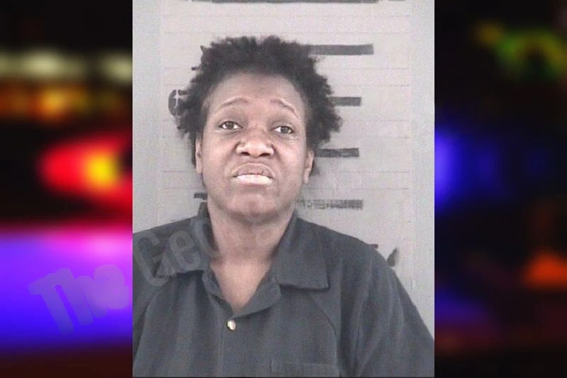 Brittany Jefferson Mugshots