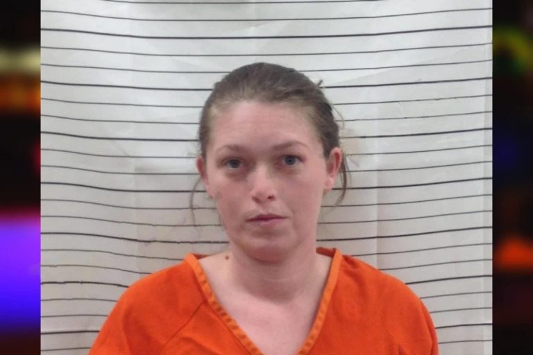Brittany Kirik mugshot – Pickens County , Georgia Brittany Kirik